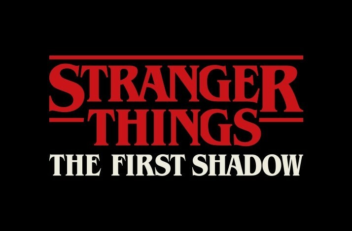 The poster of Stranger Things The first shadow