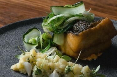 A dish served at Santerra.