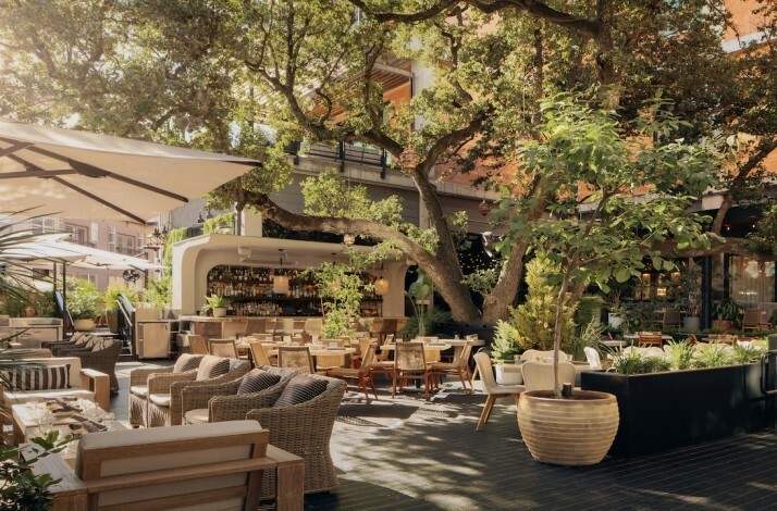 Aba Austin Reservations: In Austin, Texas (1)